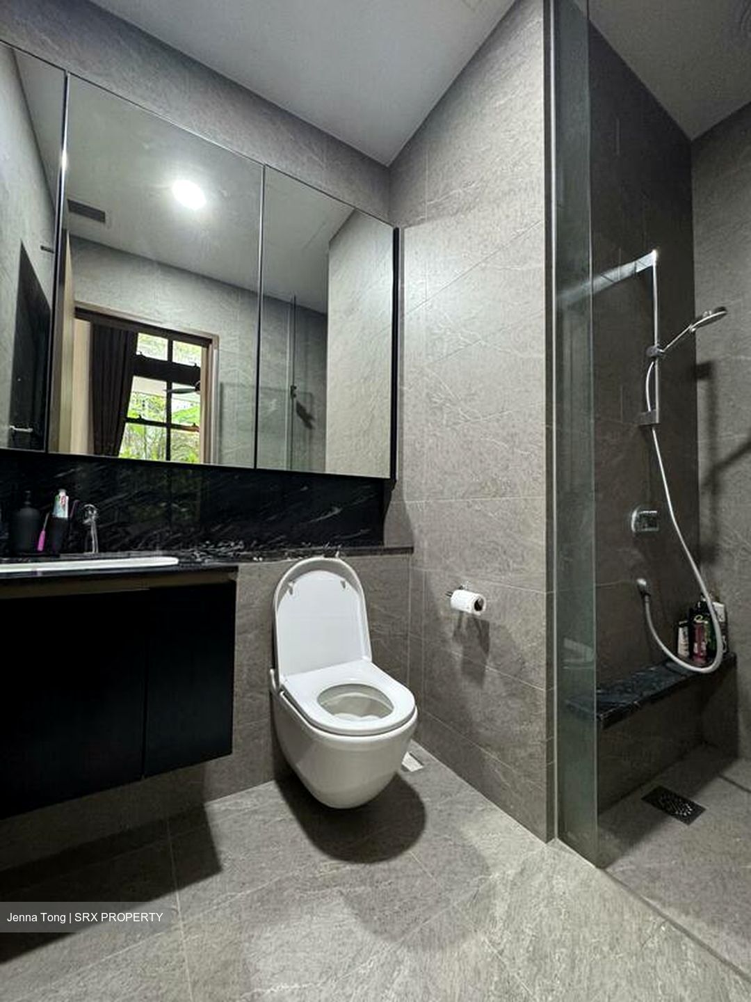 Daintree Residence (D21), Condominium #517181451